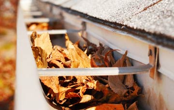 Fauld gutter cleaning companies