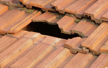 roof repair Fauld, Staffordshire